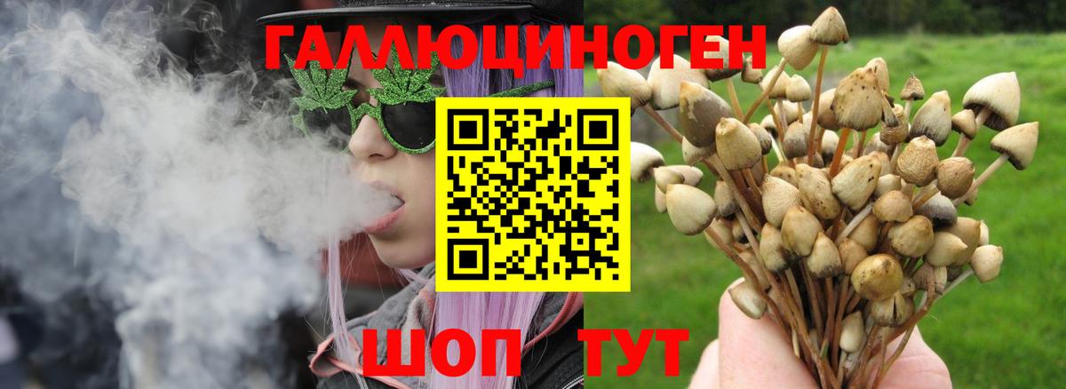 купить   Вход с VPN  Ростов Великий  Галлюциногенные грибы ЛСД 